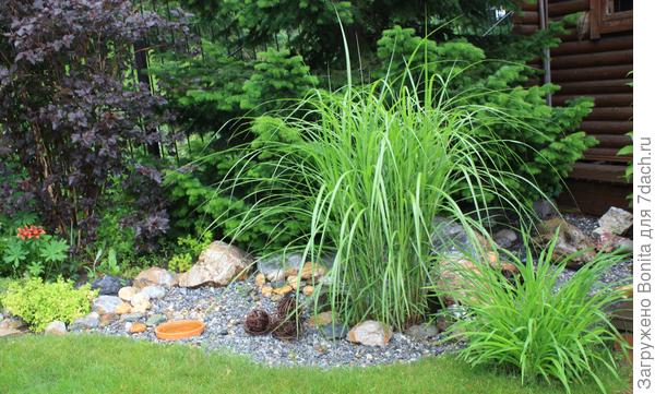 И вот такая глиняная поилка