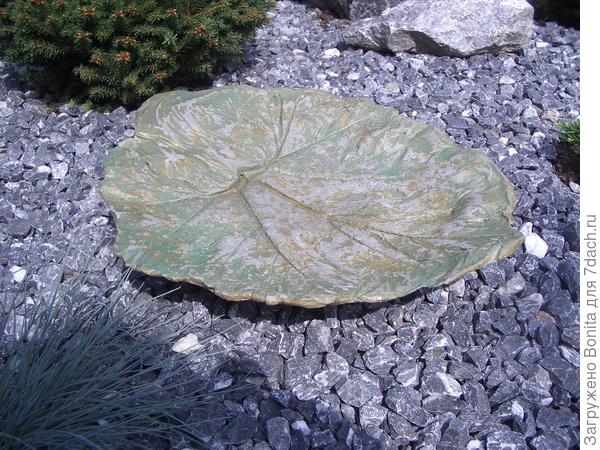 Одна из поилок, подарок подруги.