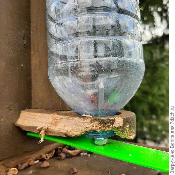 Очередная кормушка