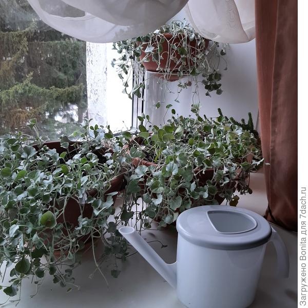 Сейчас так выглядит