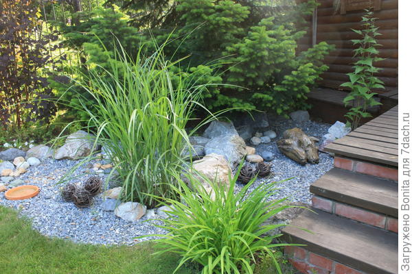 Это 6.07.23. Тут ему солнце достается во второй половине дня.