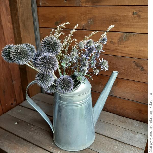 В букете нашла только такое фото - с мордовником и синеголовником