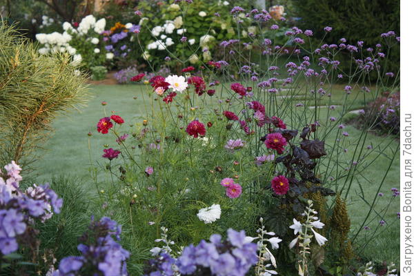 В открытом грунте