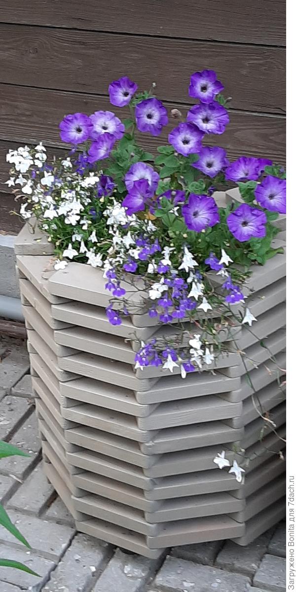 Здесь внутри большая пластиковая бутыль от кулера тоже в качестве дренажа измельченный пенопласт.