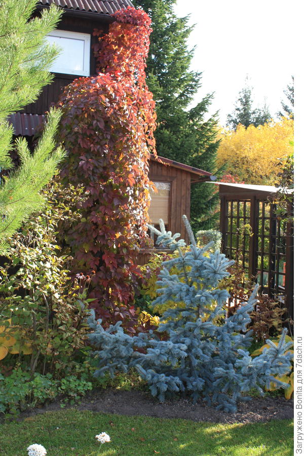 Вот какой "Атлант" подпирает крышу)))