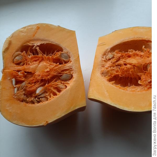 Семенная камера, семян немного