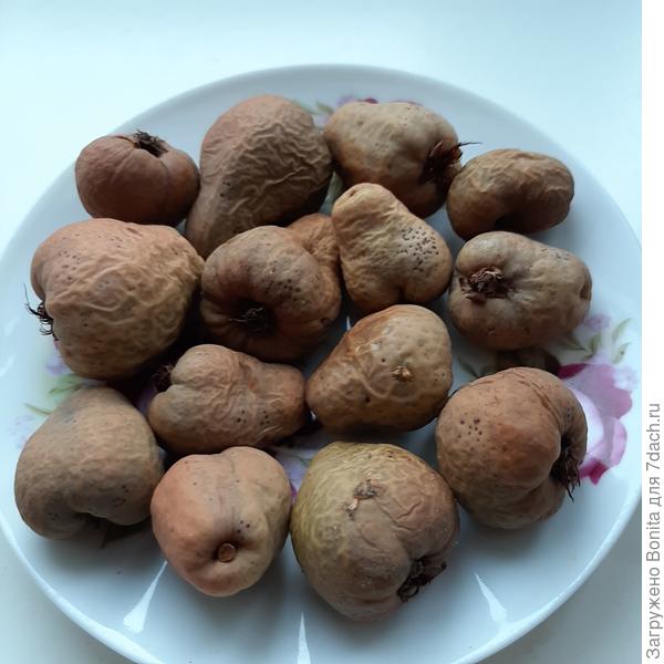 И последний "урожай")))