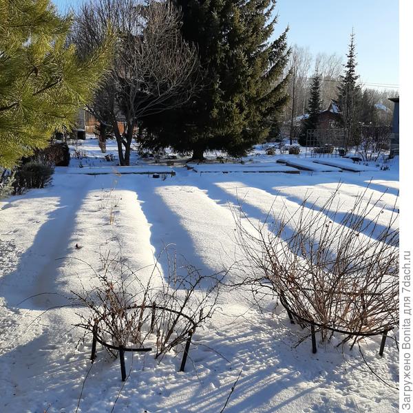 Огород спит