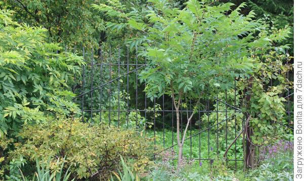 Сентябрь 2024г.