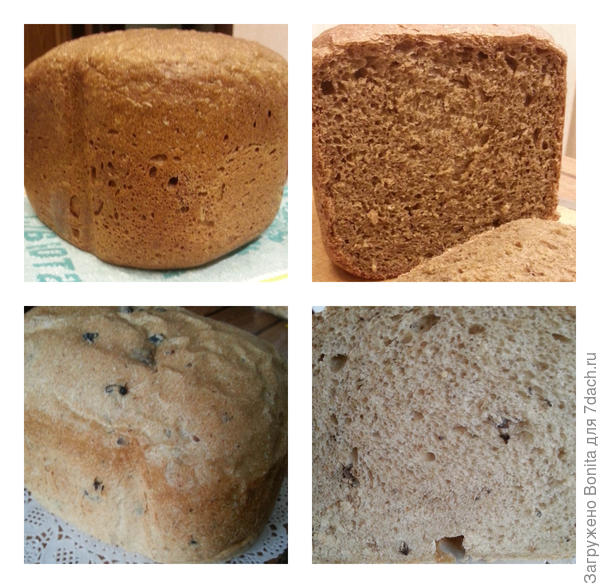 Вверху - ржаной-заварной, внизу - с маслинами