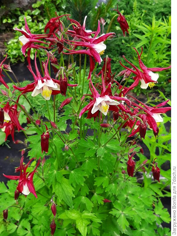 Вот эта ушла не попрощавшись