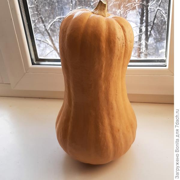 Вот очередная тыковка, за окном зима, грустит о весне