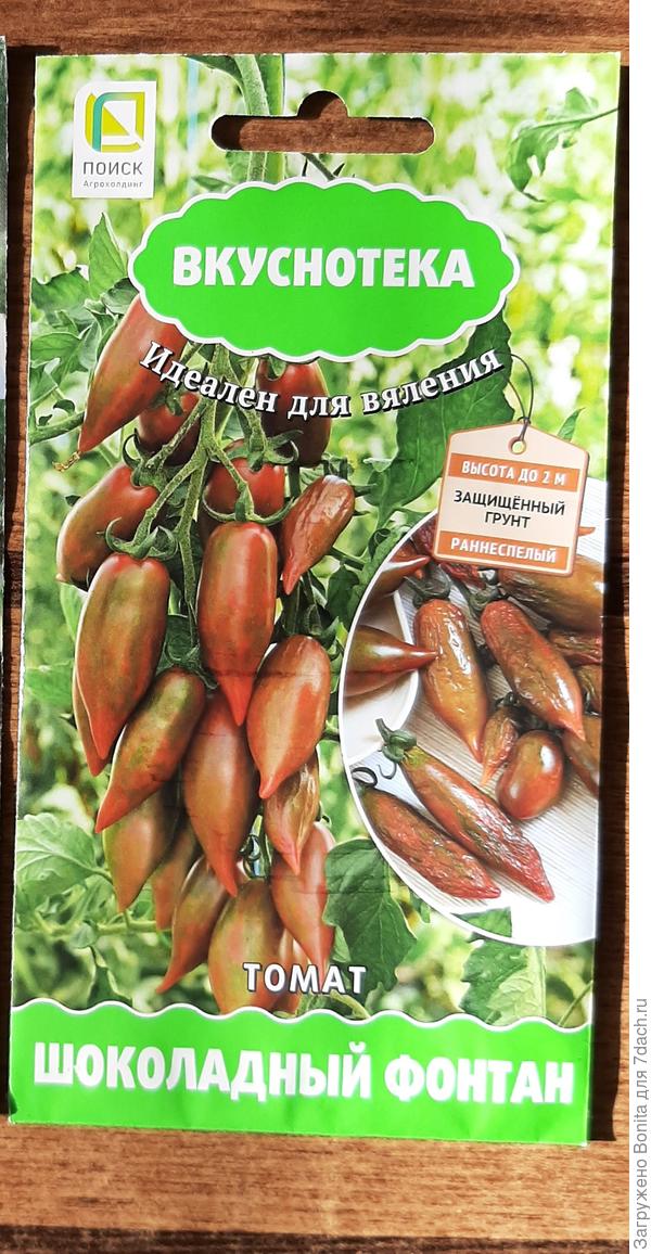 Подсохшая помидорка в кружочке, да и в кисти видны тоже