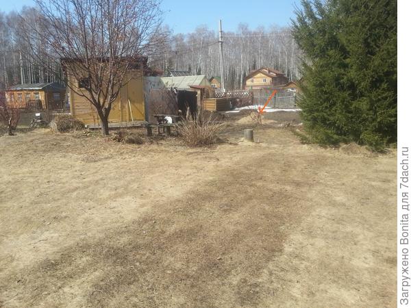 Апрель 2017г.