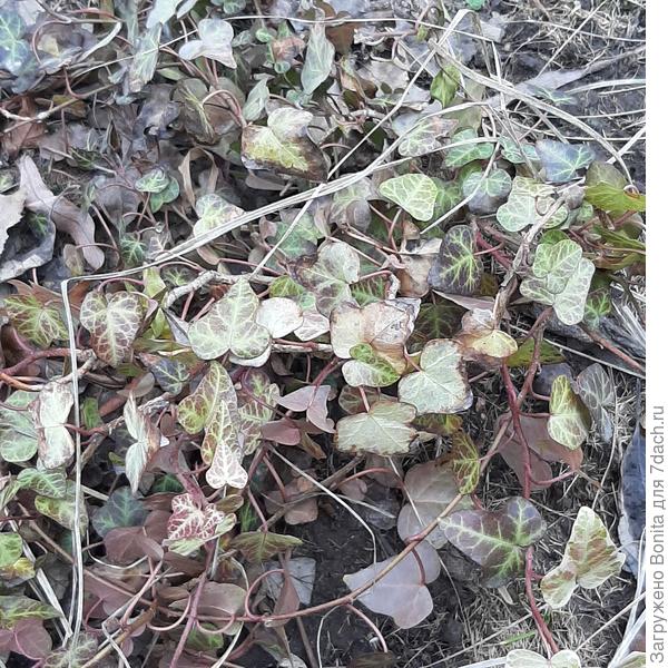 Но что самое удивительное