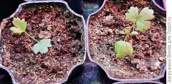 18.04.25 прострелы?