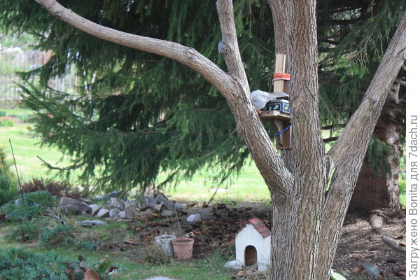 Гостья пришла