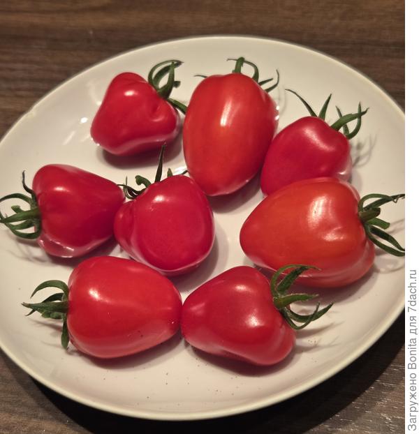 Вот такая выросла клубничка))