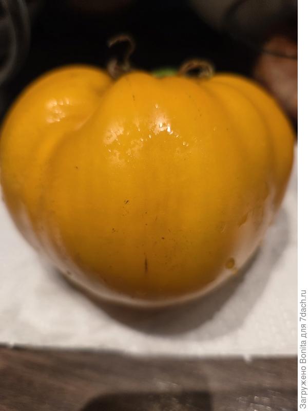 Бычье сердце янтарное