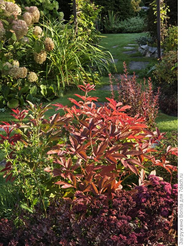 Ну вот как обрезать такую красоту?