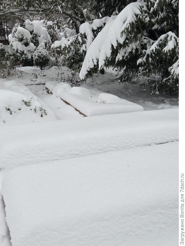 Грядки совсем засыпало