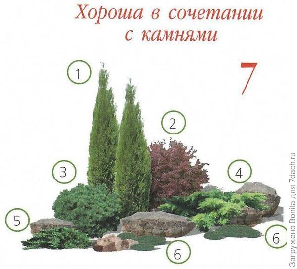 Еще более расширенный вариант. Обратите внимание, что элементами "триады" могут быть и "неживые" объекты, в данном примере - камни