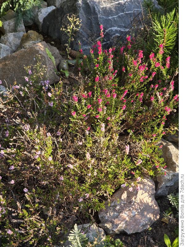 сентябрь 2025