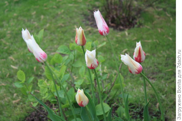 Уже на старте закрались подозрения))