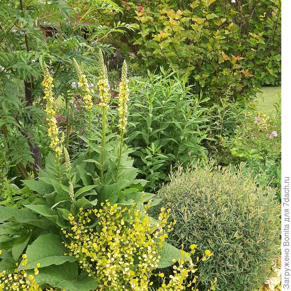 На мой взгляд удачное сочетание