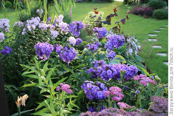 Он же ближе к вечеру