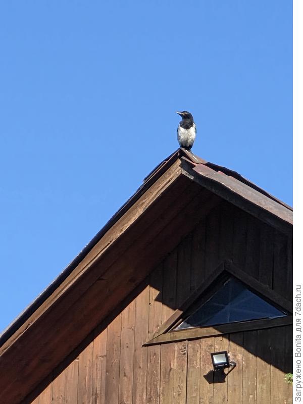 "Ну и как вам, понравилось увиденное?"