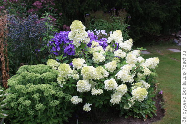 Диамантино