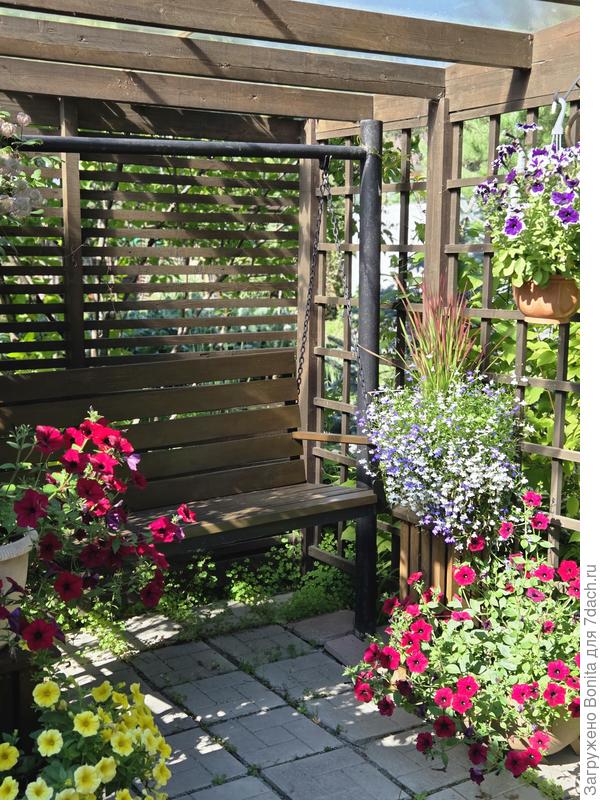 Солнечное утро