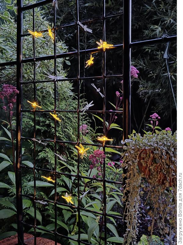 Зато порхают стрекозы)))