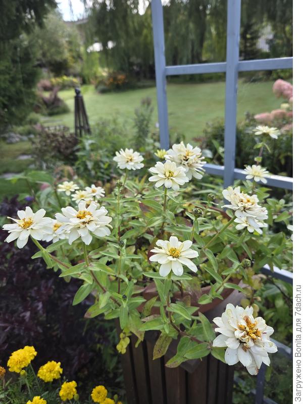 Эти были в прошлом сезоне