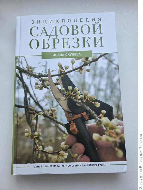 Приз за новогодний конкурс фотографий