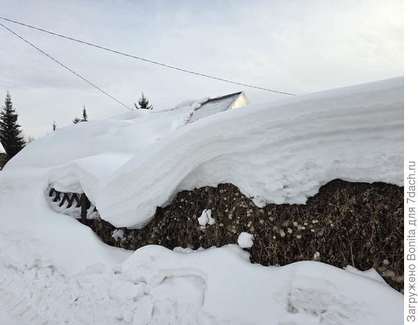 Зацените высоту снега на заборе соседей