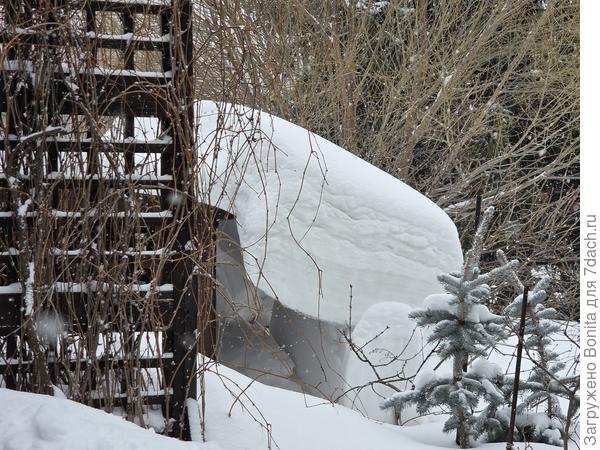 Сегодня на даче