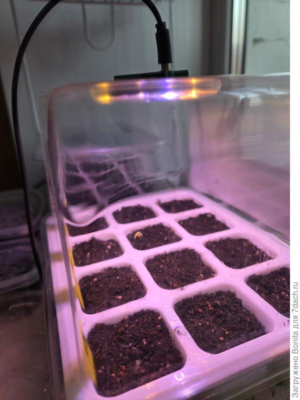 Первые наклевки 20 февраля