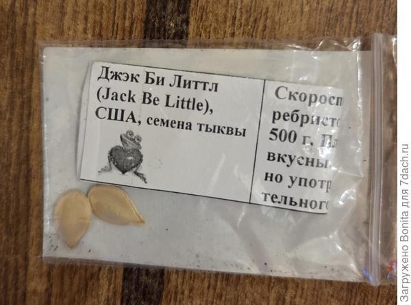 Семена тыквы-малютки