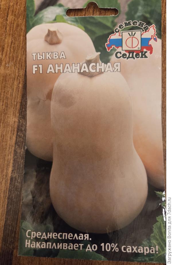 Тыква Ананасная, семена