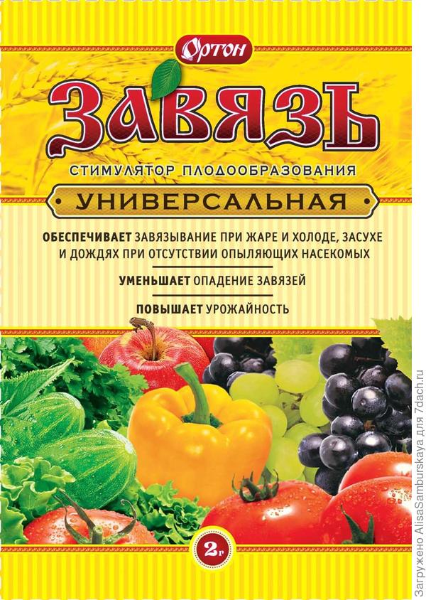 При отсутствии опыляющих насекомых