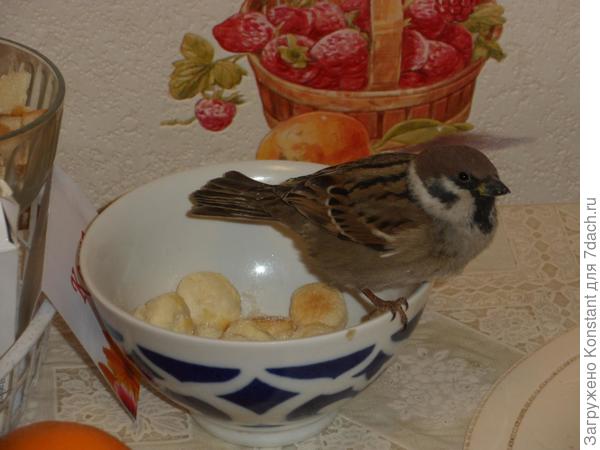 Фотосессия перед отлетом