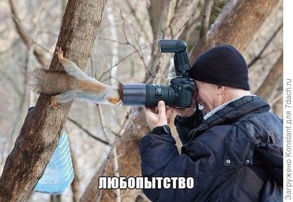 Фото В КОНТАКТЕ. Автор фото - Михаил Агеев, Тула. Фото - победитель конкурса Лови момент от научно-географического журнала National Geographic Россия. Фото взято с сайта www.tula.kp.ru