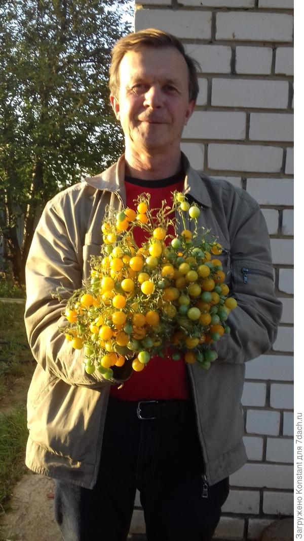 16 сентября 2018 года. Собран последний букет.