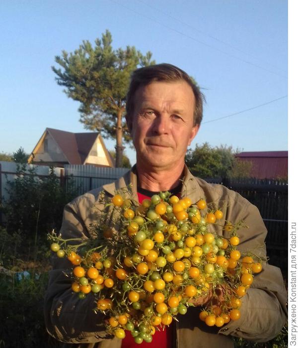 Букетик желаний от садовода со стажем !