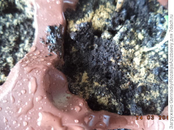 пыль в таблетках