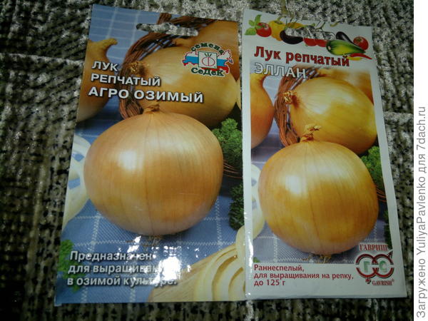 Найди отличия!