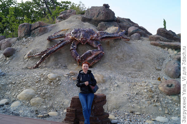 краб камчатский