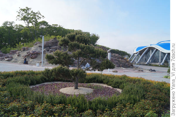 клумба